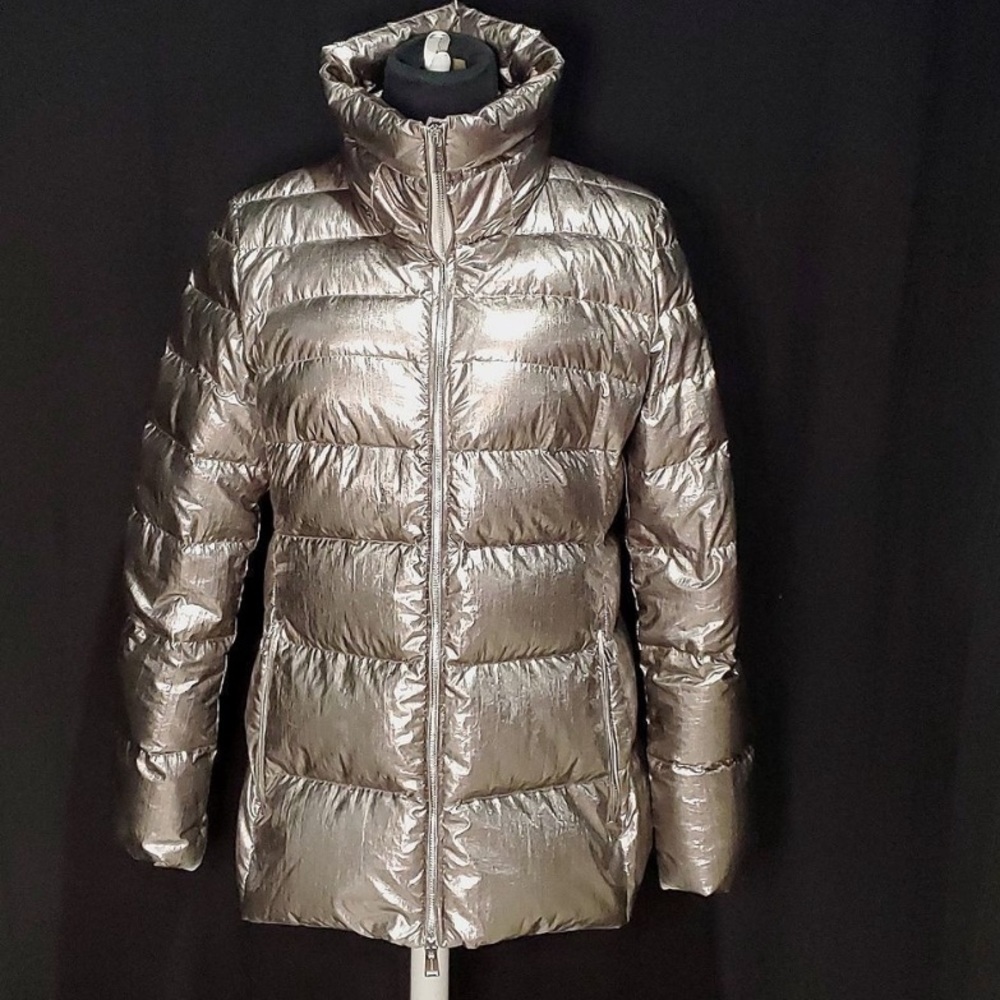 Silver puffer